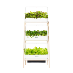 Potager connecté Cultive Pro