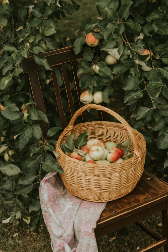 Bien manger sans espace extérieur : le guide complet pour les citadins
