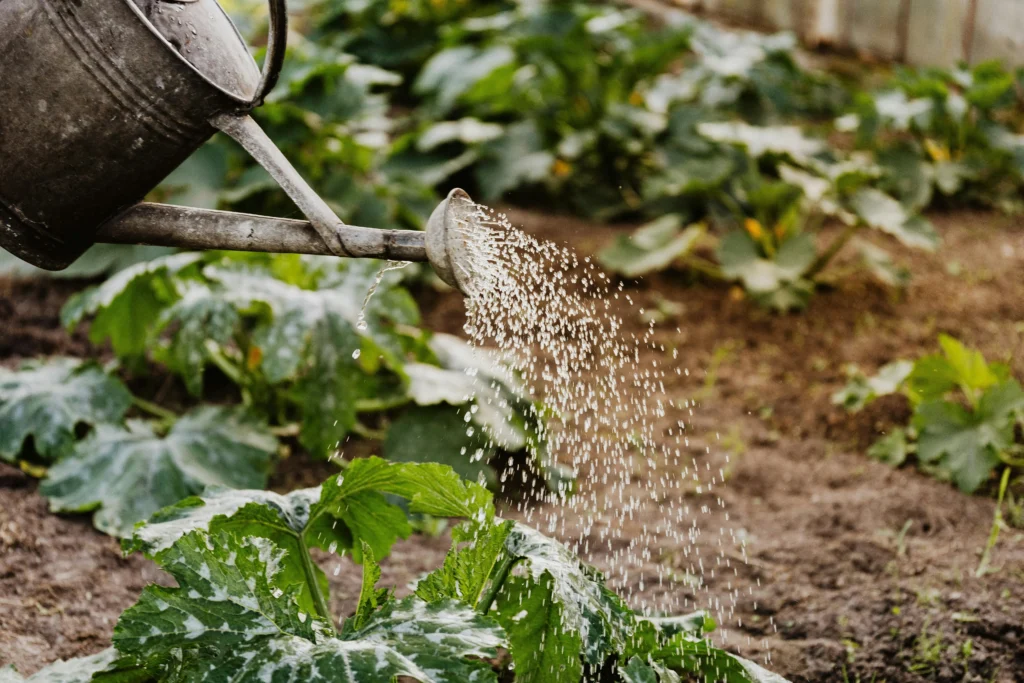 potager d'intérieur connecté posé sur un plan de cuisine
