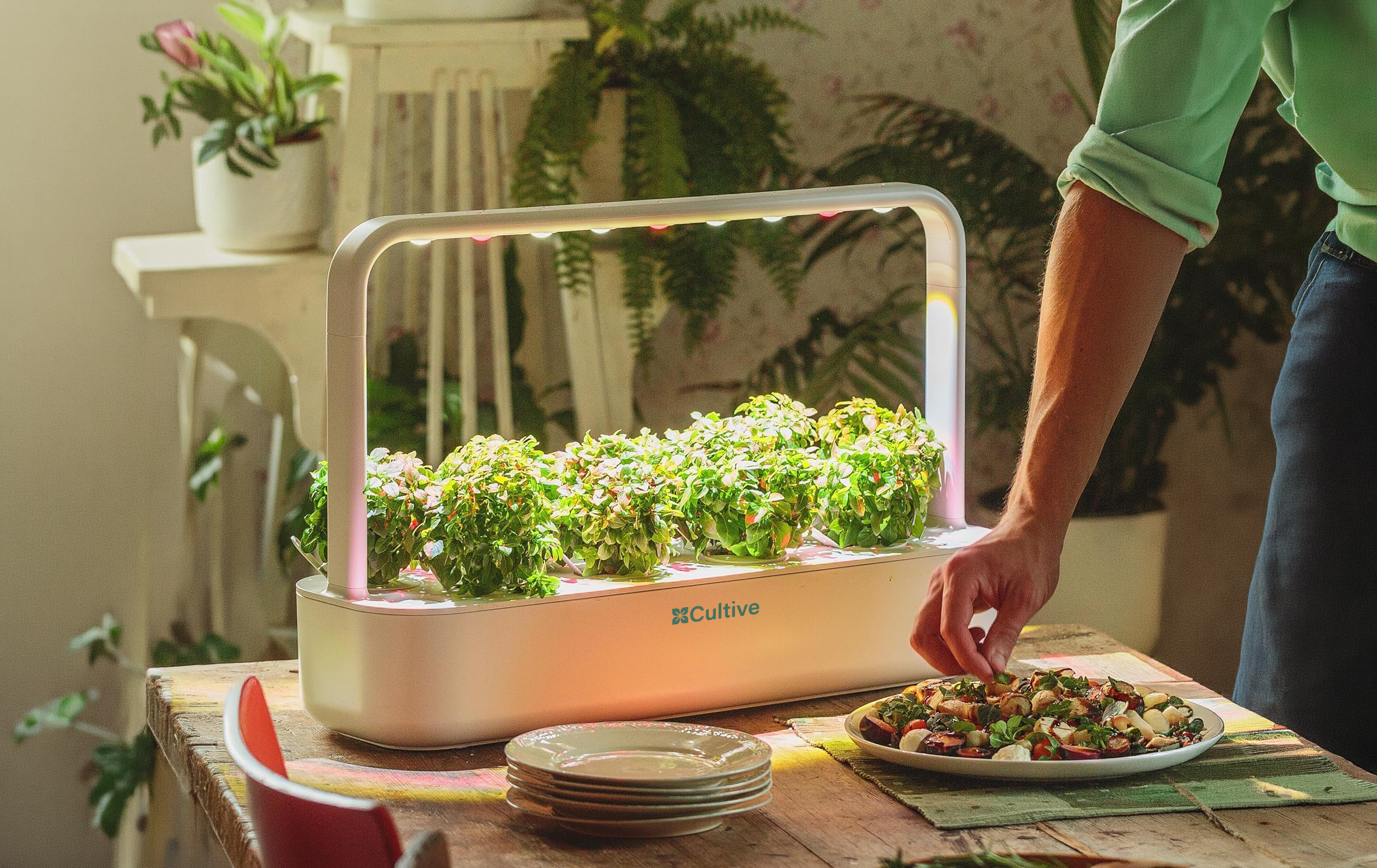 Potager connecté Cultive One utilisé par un revendeur partenaire en France
