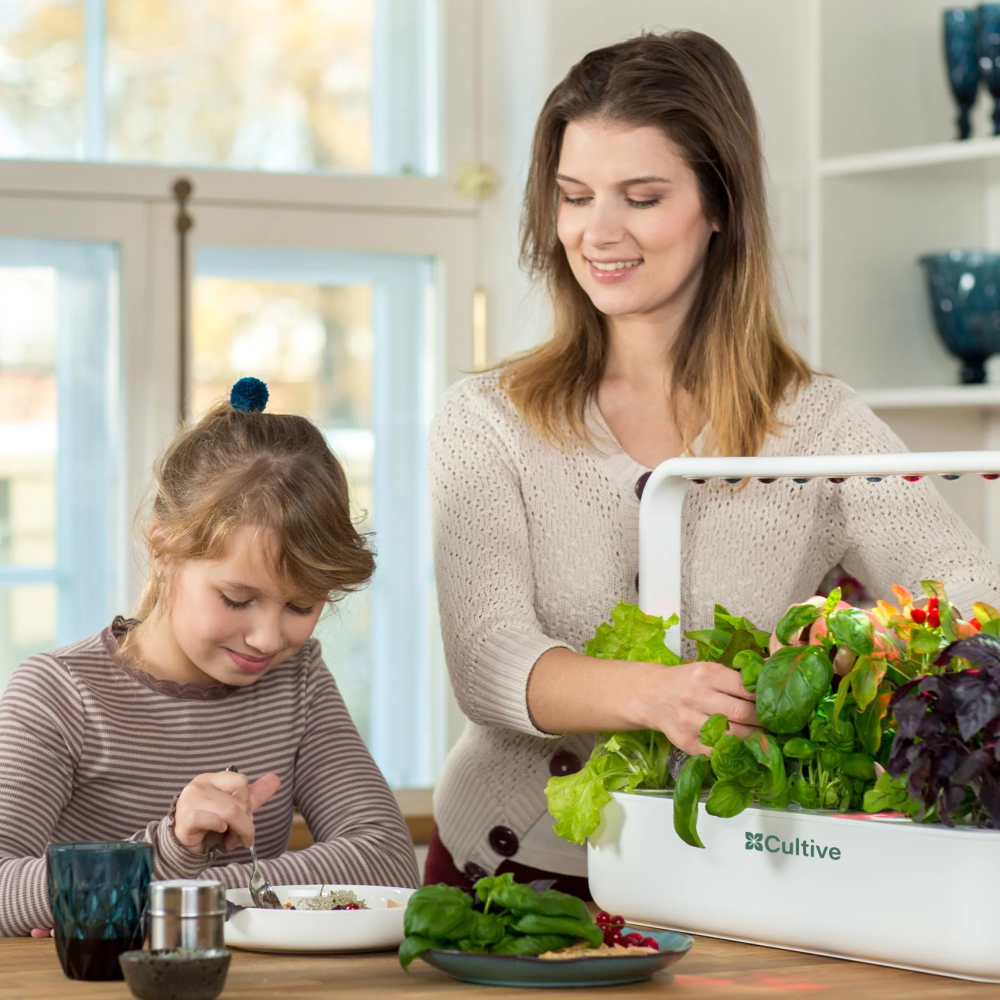 Étape 3 : faire pousser vos plantes grâce à la technologie Cultive